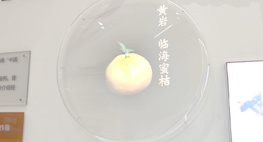 ̨ݵ־ȫϢ